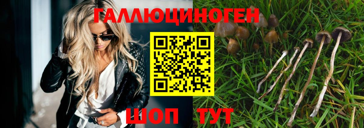Псилоцибиновые грибы Psilocybine cubensis  Вход с VPN  Москва 